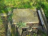 image of grave number 393752
